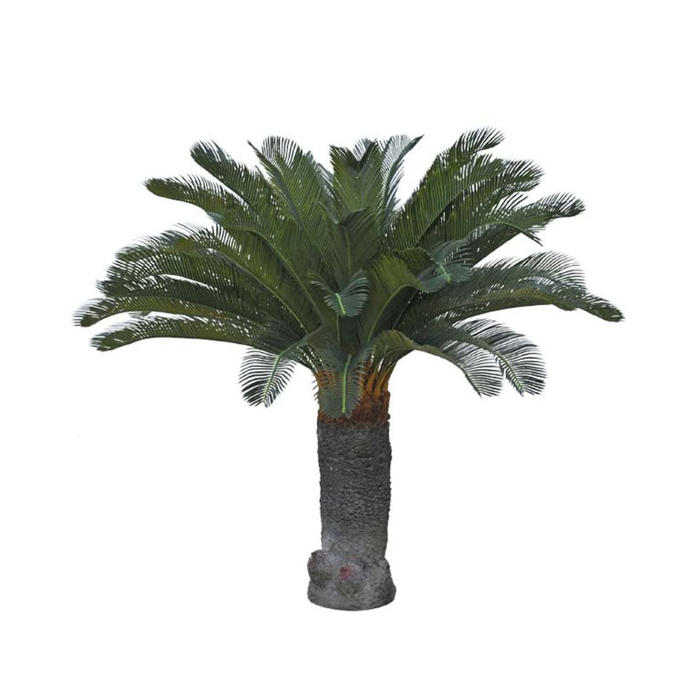 Götessons Cycas Palm tekokasvi (iso)