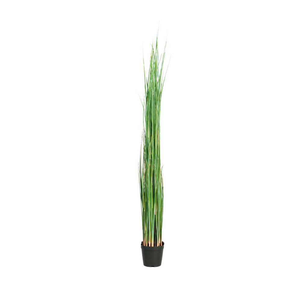 Götessons Grass tekokasvi (iso)
