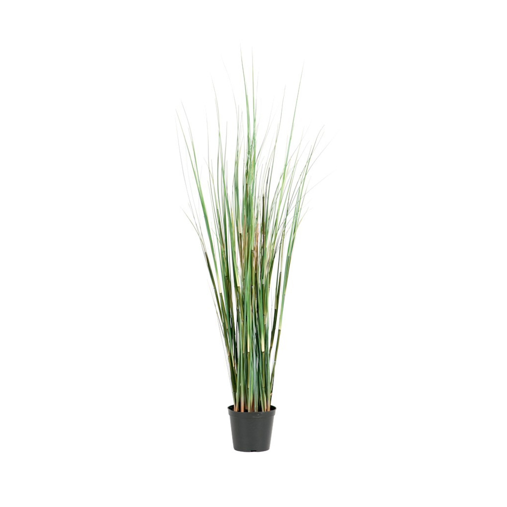 Götessons Grass tekokasvi (pieni)