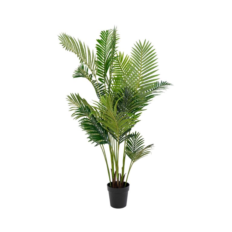 Green Decor Areca Palm tekokasvi 175 cm