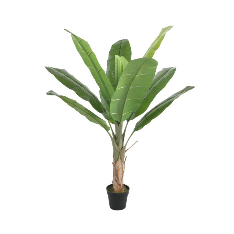 Green Decor Banana Palm tekokasvi