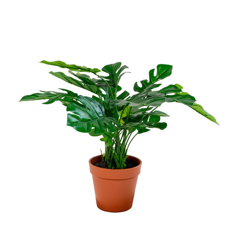 Green Decor Monstera tekokasvi 45 cm