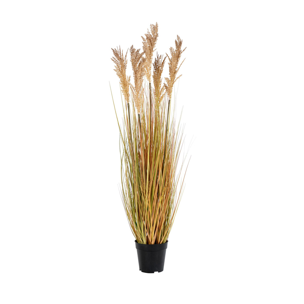 Green Decor Sorghum Grass tekokasvi 110 cm