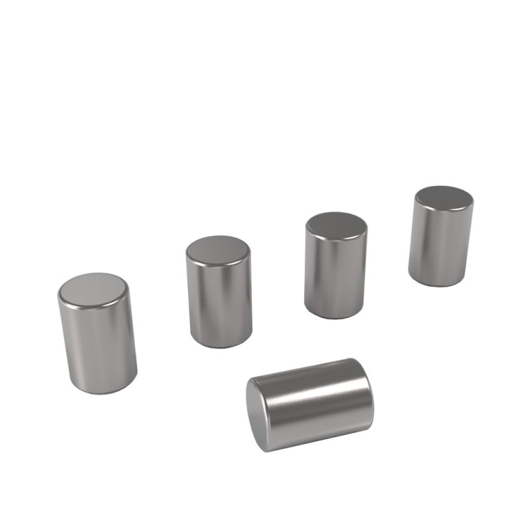 Lintex erikoisvahvat magneetit 5 kpl mattakromi