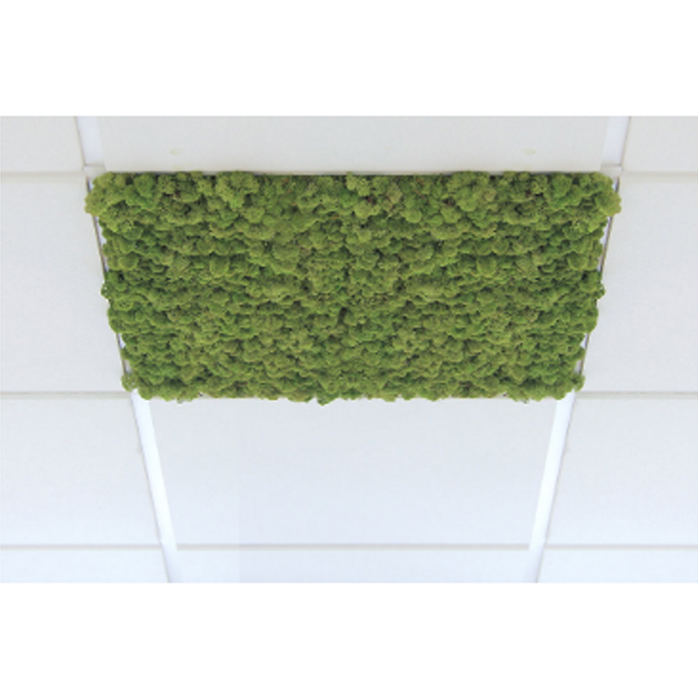 Nordgröna Ceiling akustinen jäkälä kattopaneeli