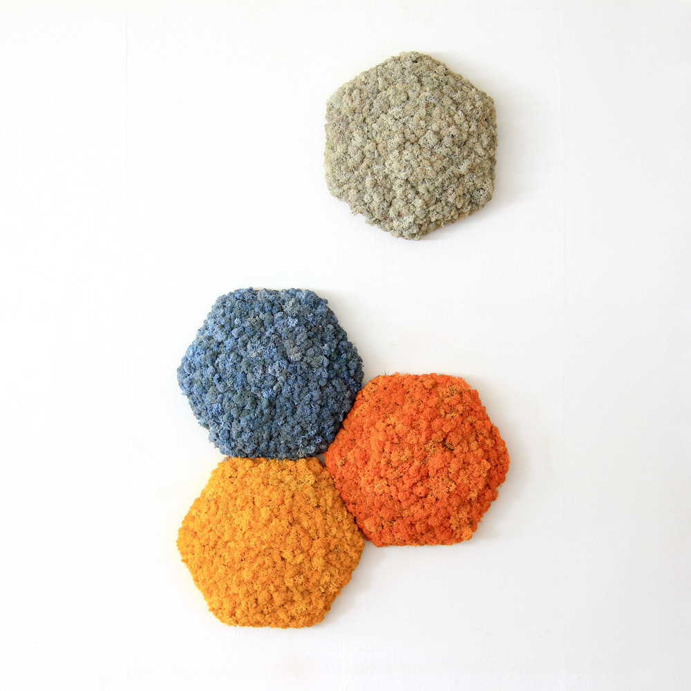 Nordgröna_CONVEX_Hexagon_3 - Edella Nordgröna Convex Hexagon akustinen jäkälä seinäpaneeli