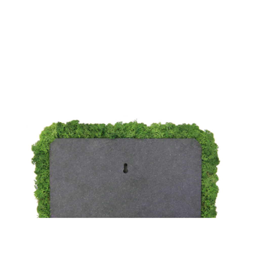 Nordgröna_CONVEX_Square_11 - Edella Nordgröna Convex Square akustinen jäkälä seinäpaneeli