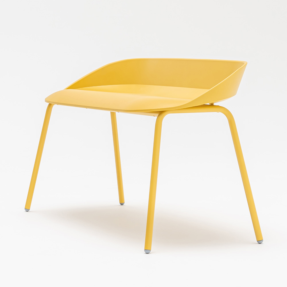 MDD Team Low Bench penkki